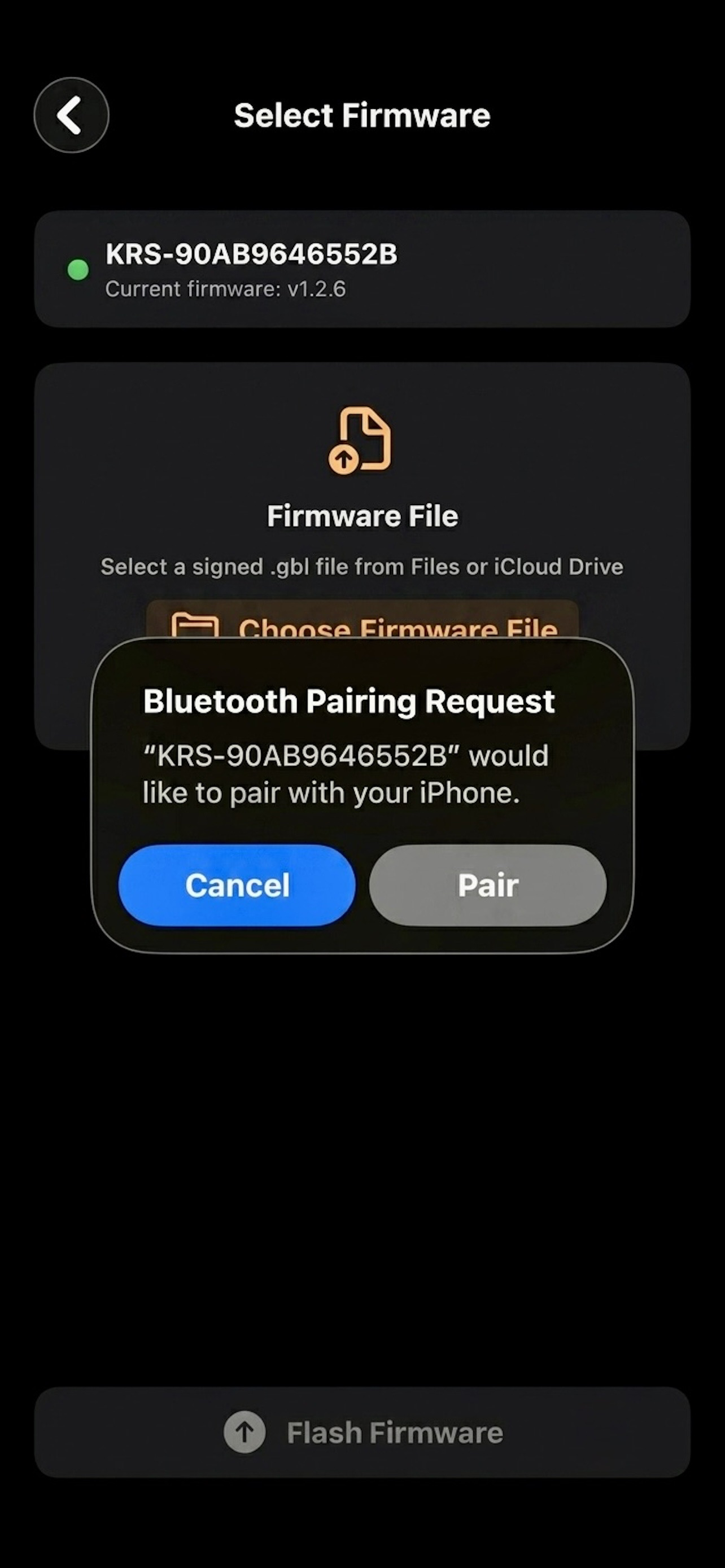 KRS Firmware Update screenshot 3