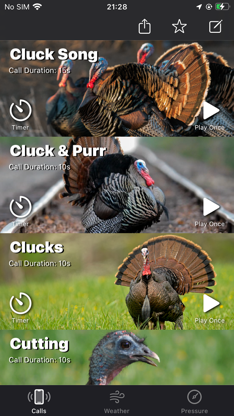 Turkey Calls for Hunting + screenshot 1