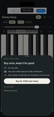 Kasey Keys - Piano screenshot 4