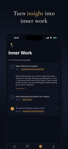 Lyra Dream: Dream Analysis screenshot 5