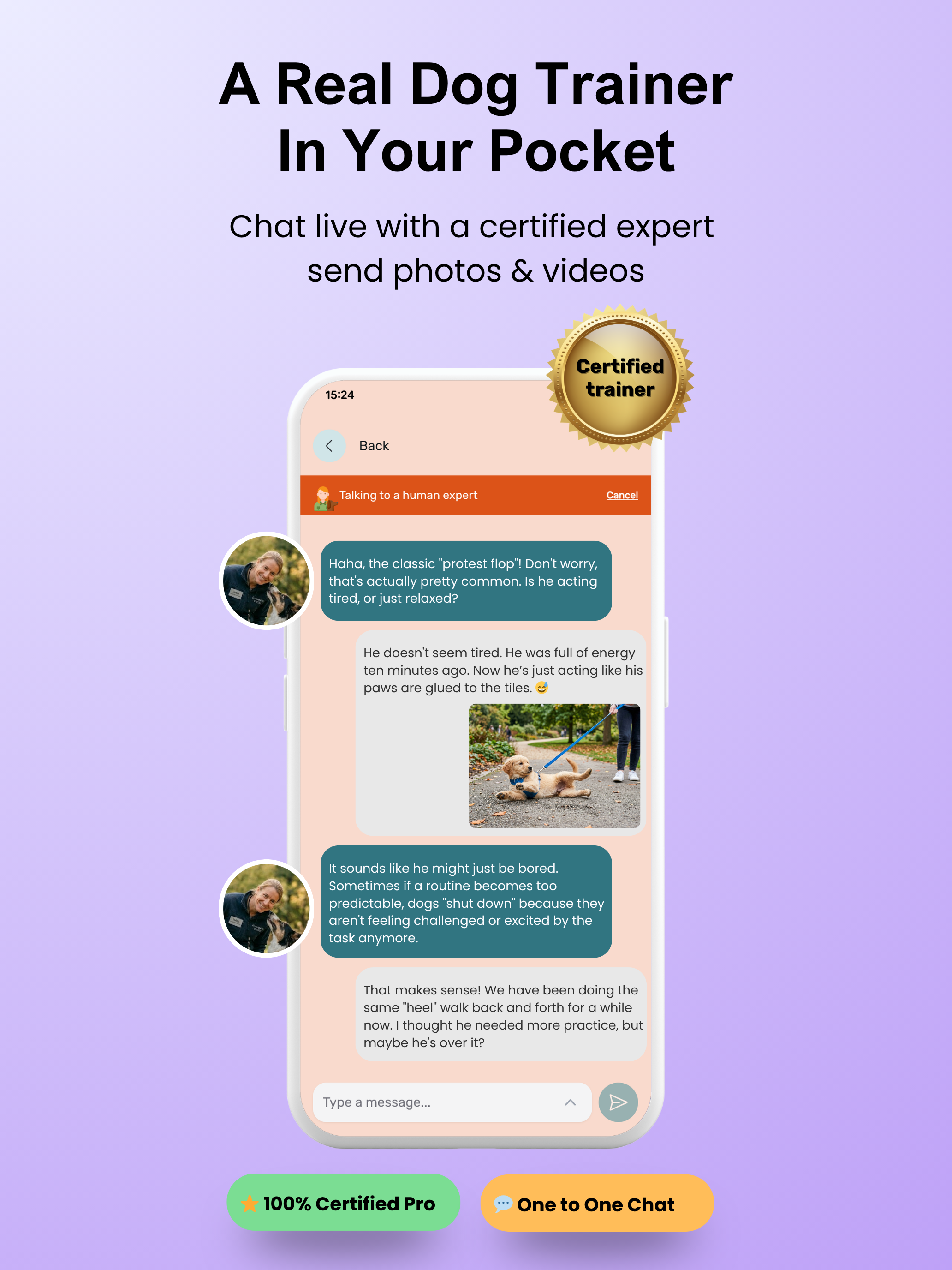 WoofLearn: Dog Training & Care