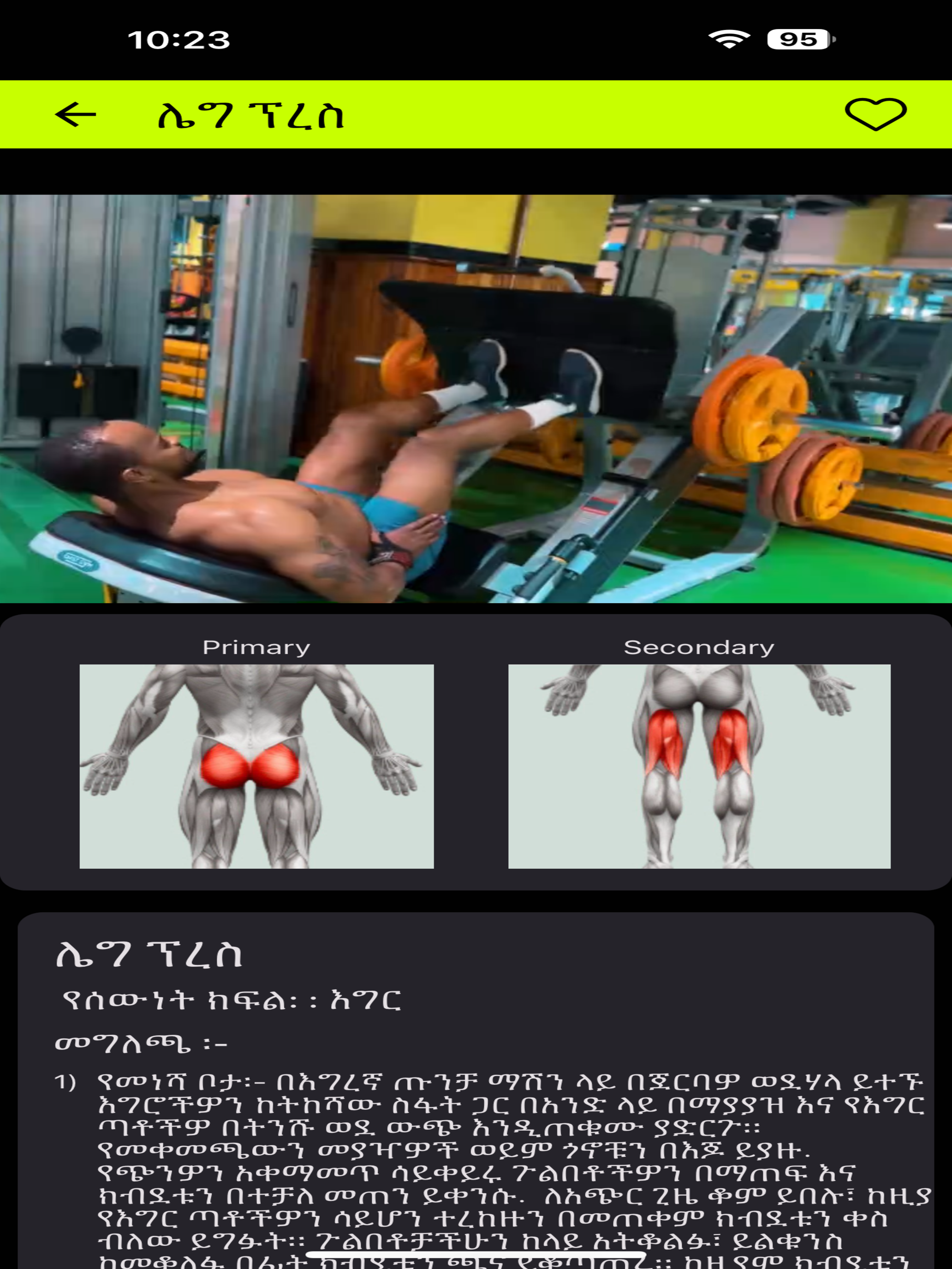 Fitawrari Fitness (debc82)