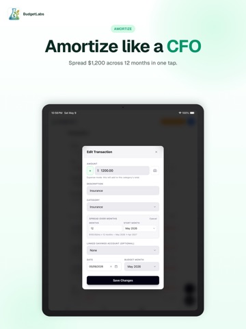 BudgetLabs: Money Manager iPad screenshot