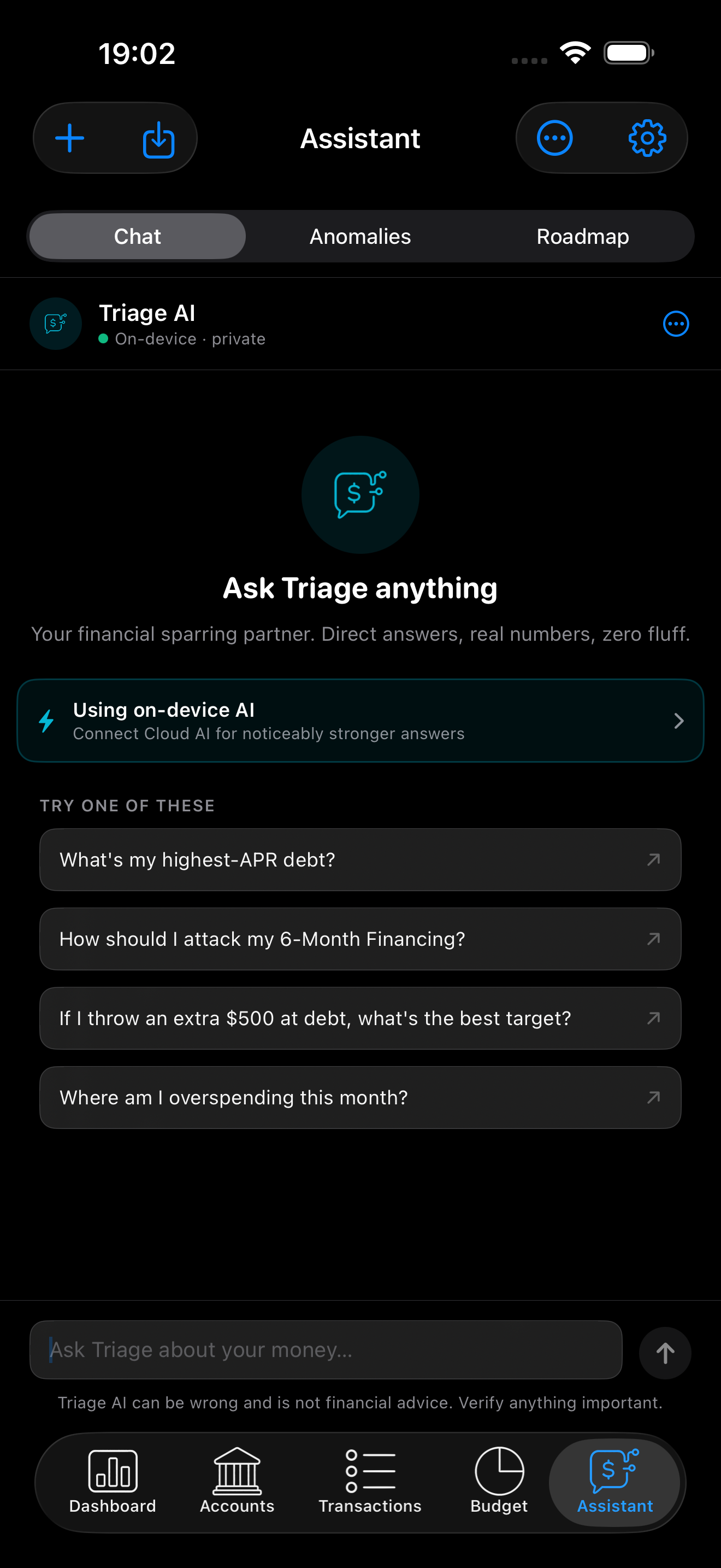 Triage: Debt Payoff & Budget screenshot 4