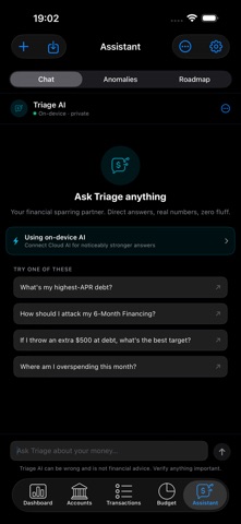 Triage: Debt Payoff & Budget iPhone screenshot