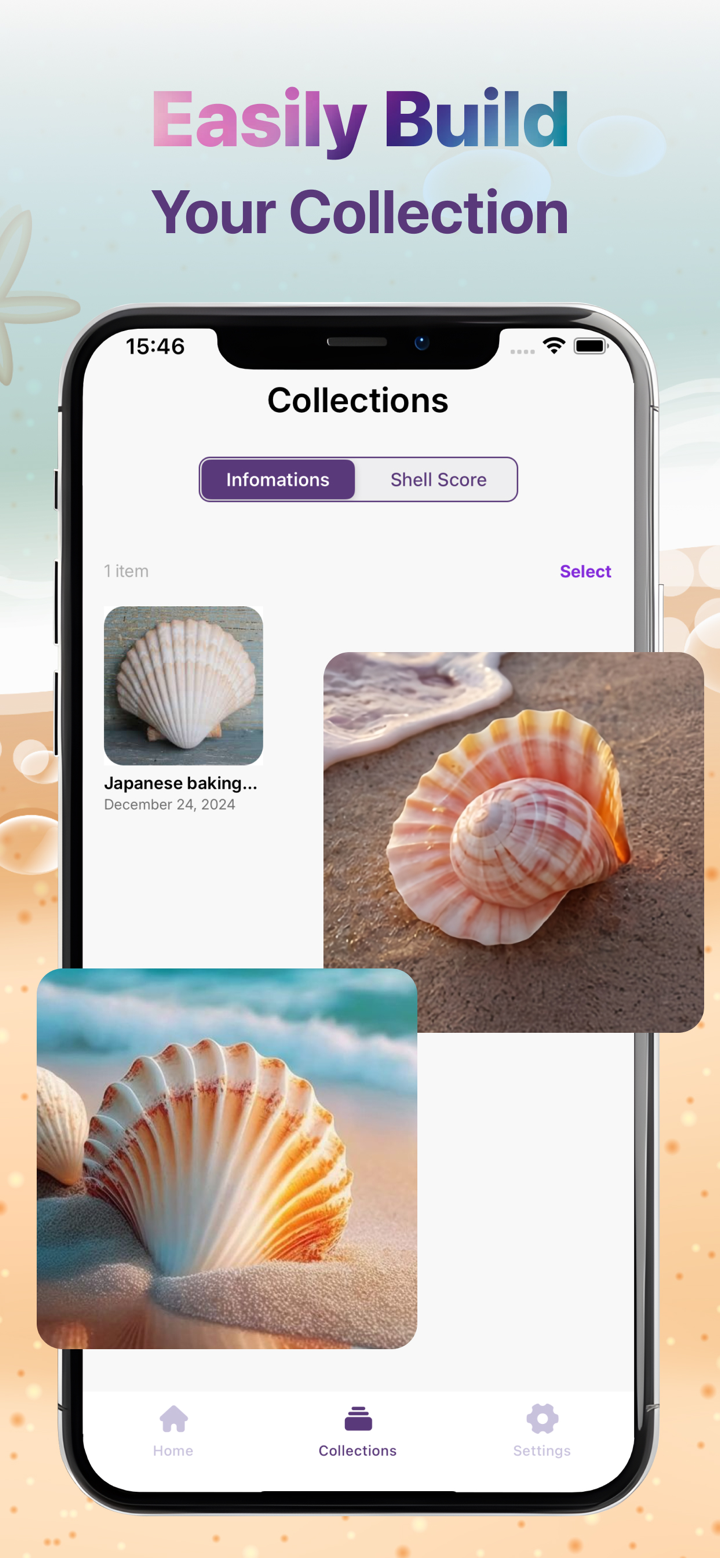 Conchology Identifier screenshot 5