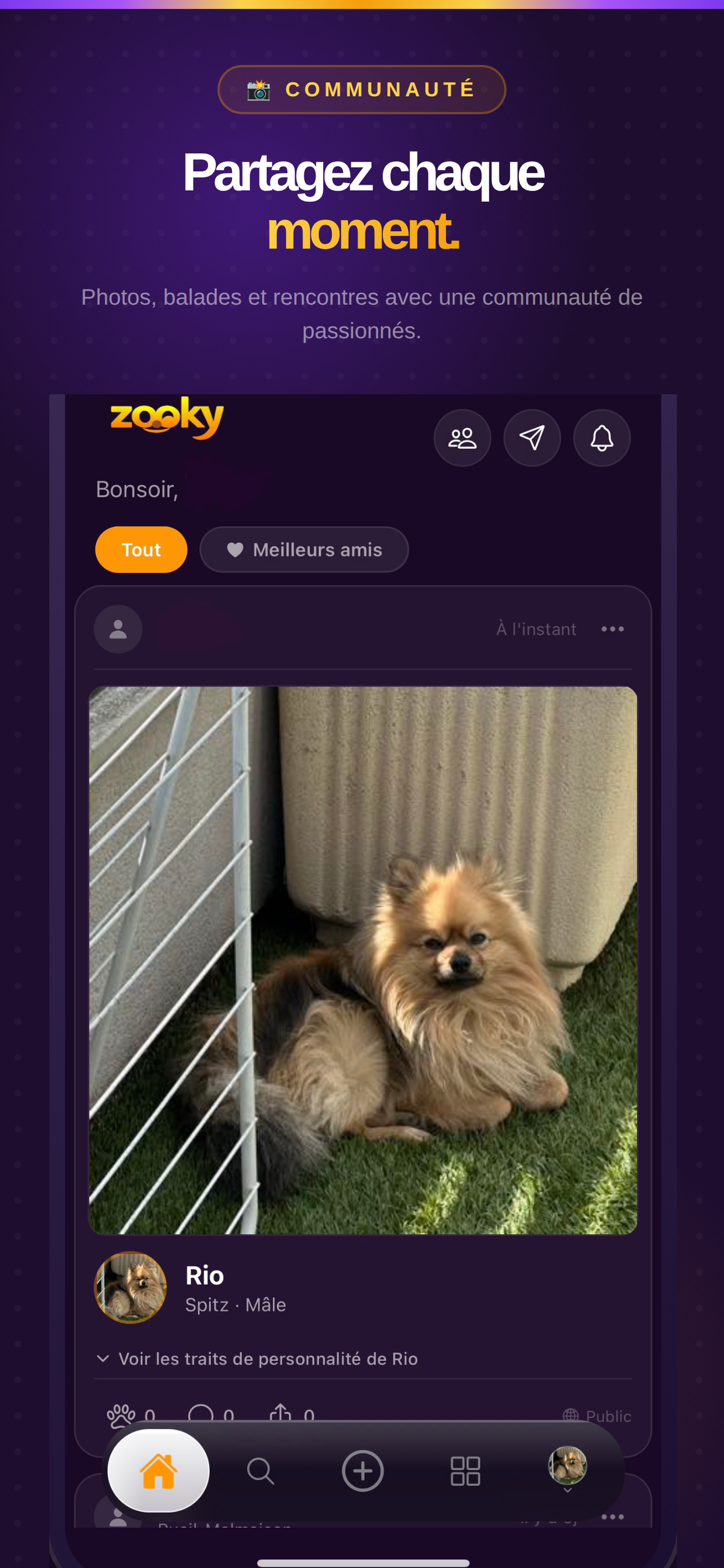 Zooky screenshot 4