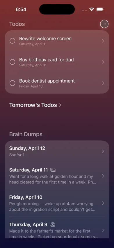 Brain Dump - Nightly Journal screenshot 1