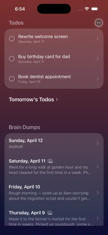 Brain Dump - Nightly Journal screenshot 1 of 7
