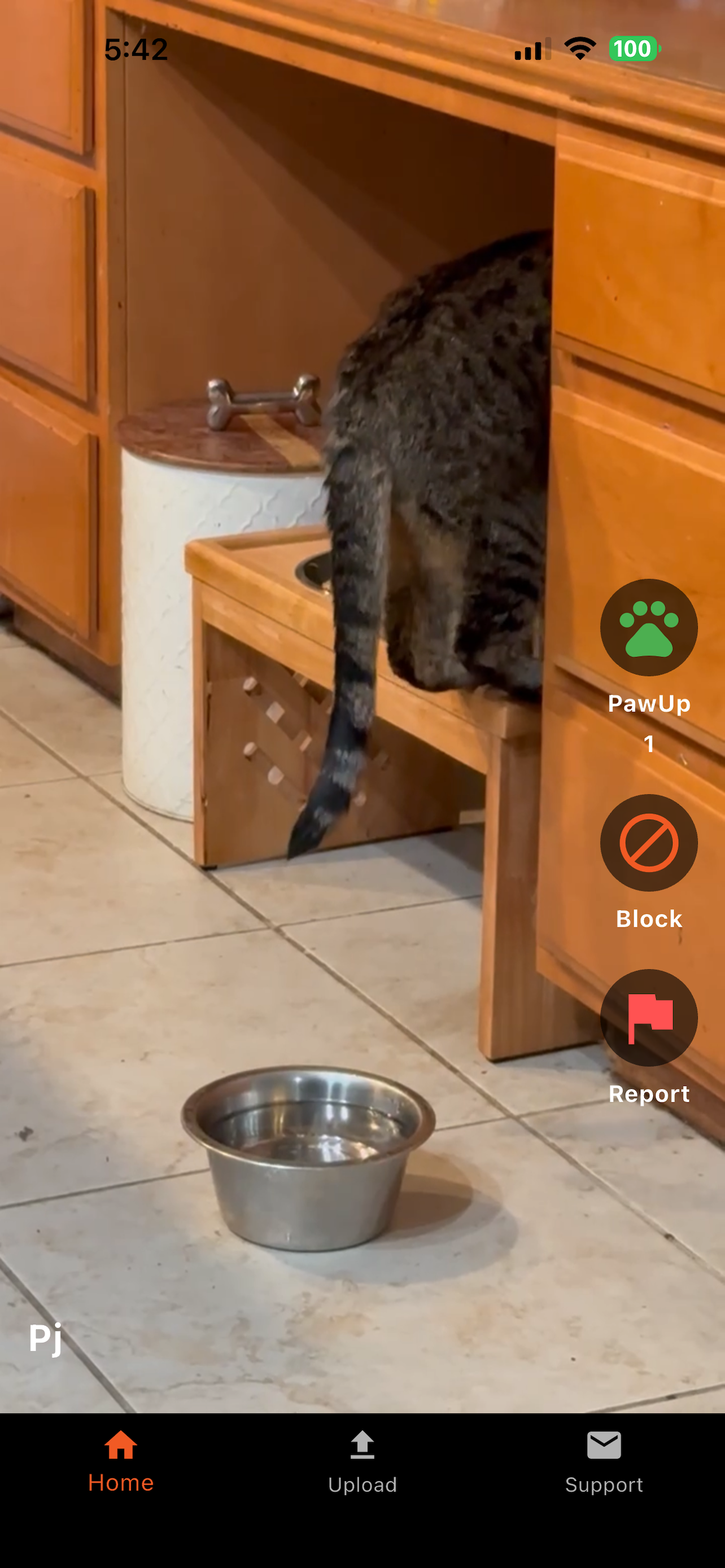 PawUpApp screenshot 2