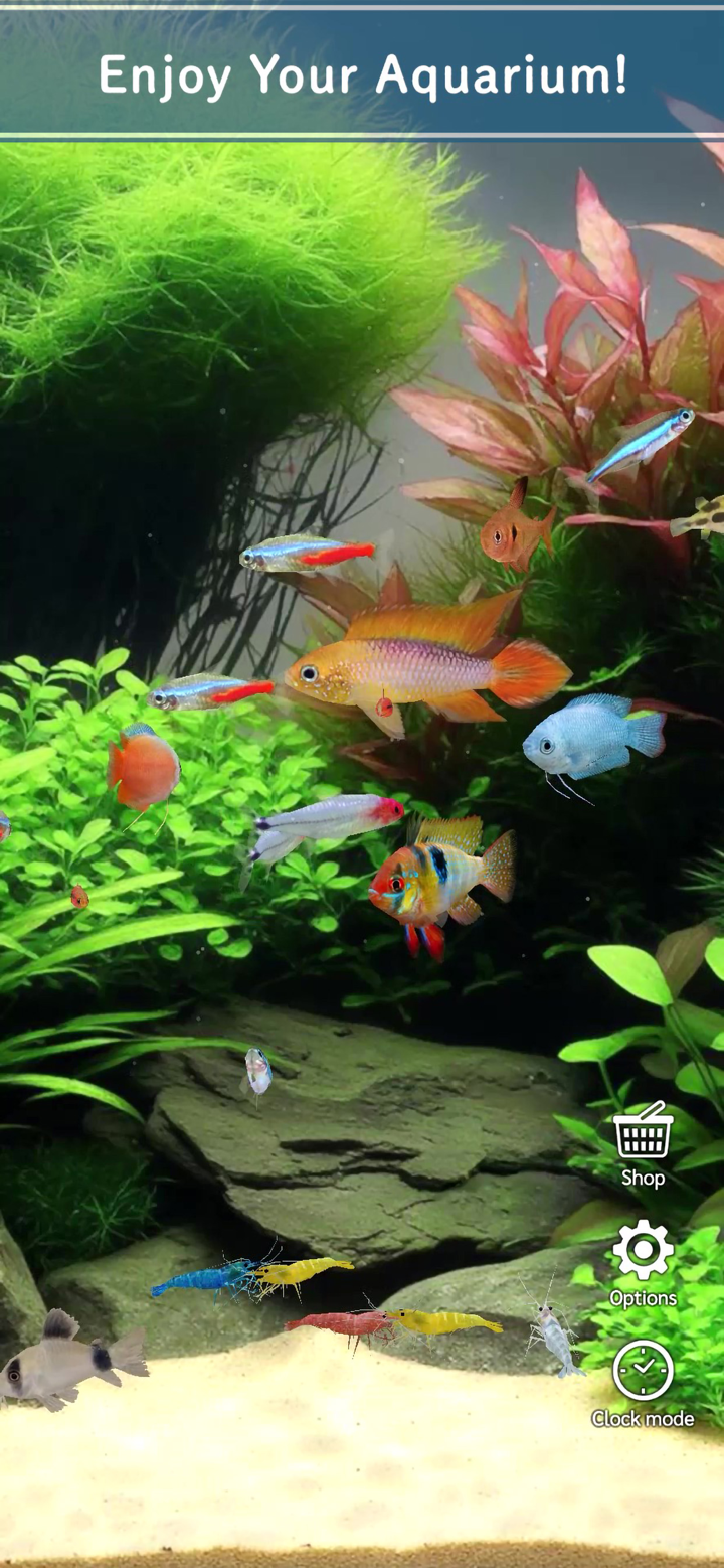 迷你水族箱：熱帶魚缸 screenshot 5
