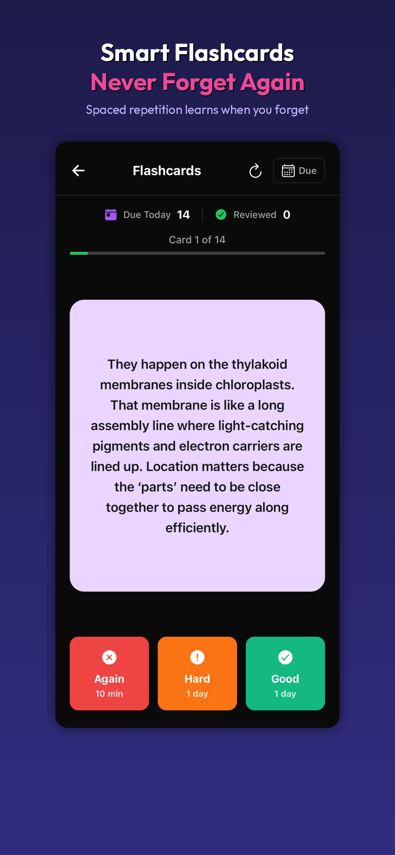 BrainDen: AI Study Companion