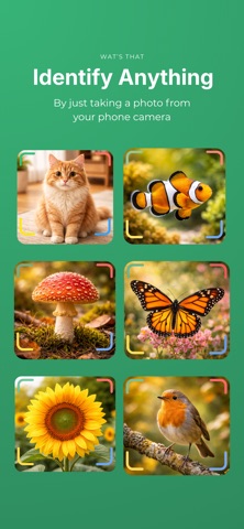 Wat's That?: Identify Anything screenshot