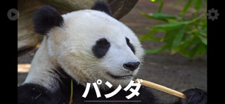 iAnimals: どうぶつえほん のスクリーンショット