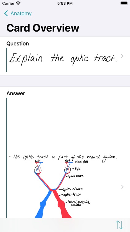 FlashBuddy: Flashcards screenshot-5