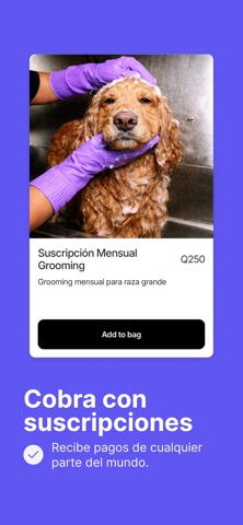 Recurrente screenshot