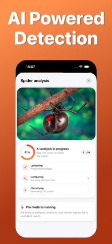 Spider Identifier: Scan AI Screenshot 2 of 5