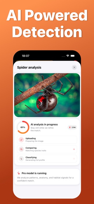 Spider Identifier: Scan AI Screenshot 2 of 5