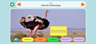 Emry's Animals screenshot 2