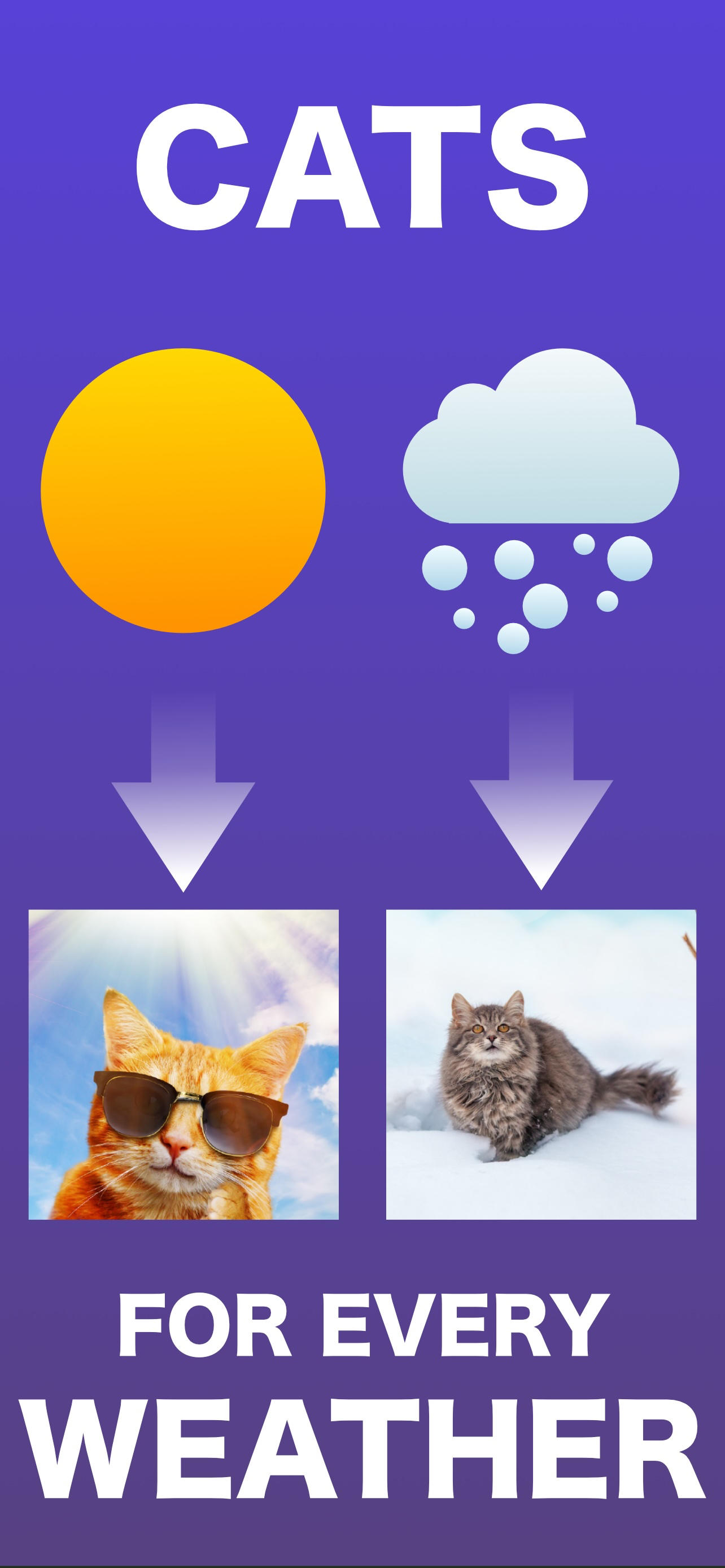 Cat Widget - World of Cats screenshot 4