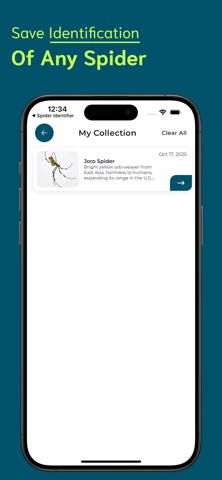Spider Identifier - SI screenshot