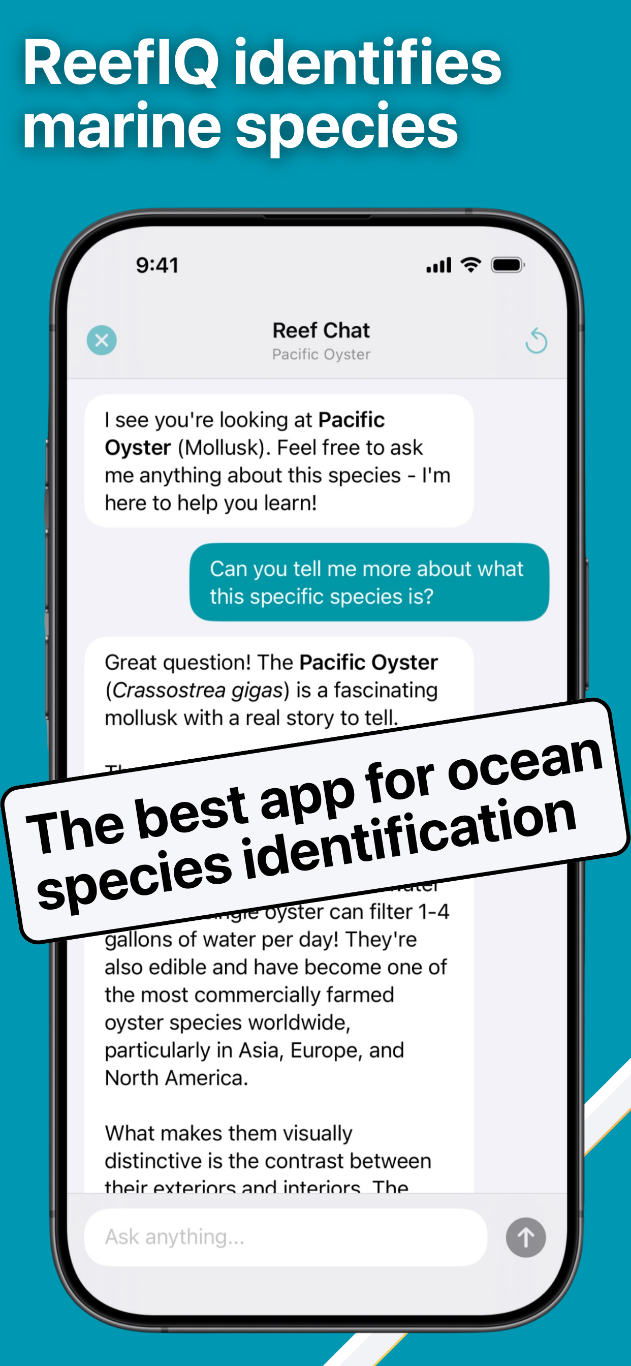Reef Life Identifier: ReefIQ
