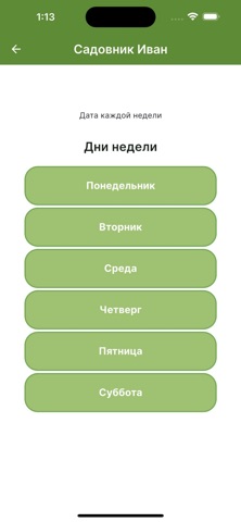 Green Art screenshot