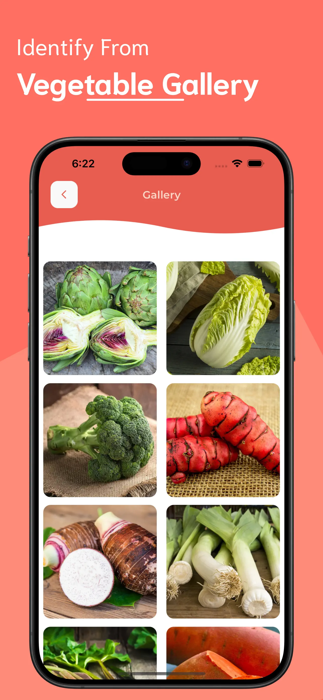 #6. Vegetable Identifier (iOS) Door: Ankur Dhameliya