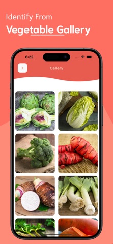 Vegetable Identifier Screenshot 6 of 6