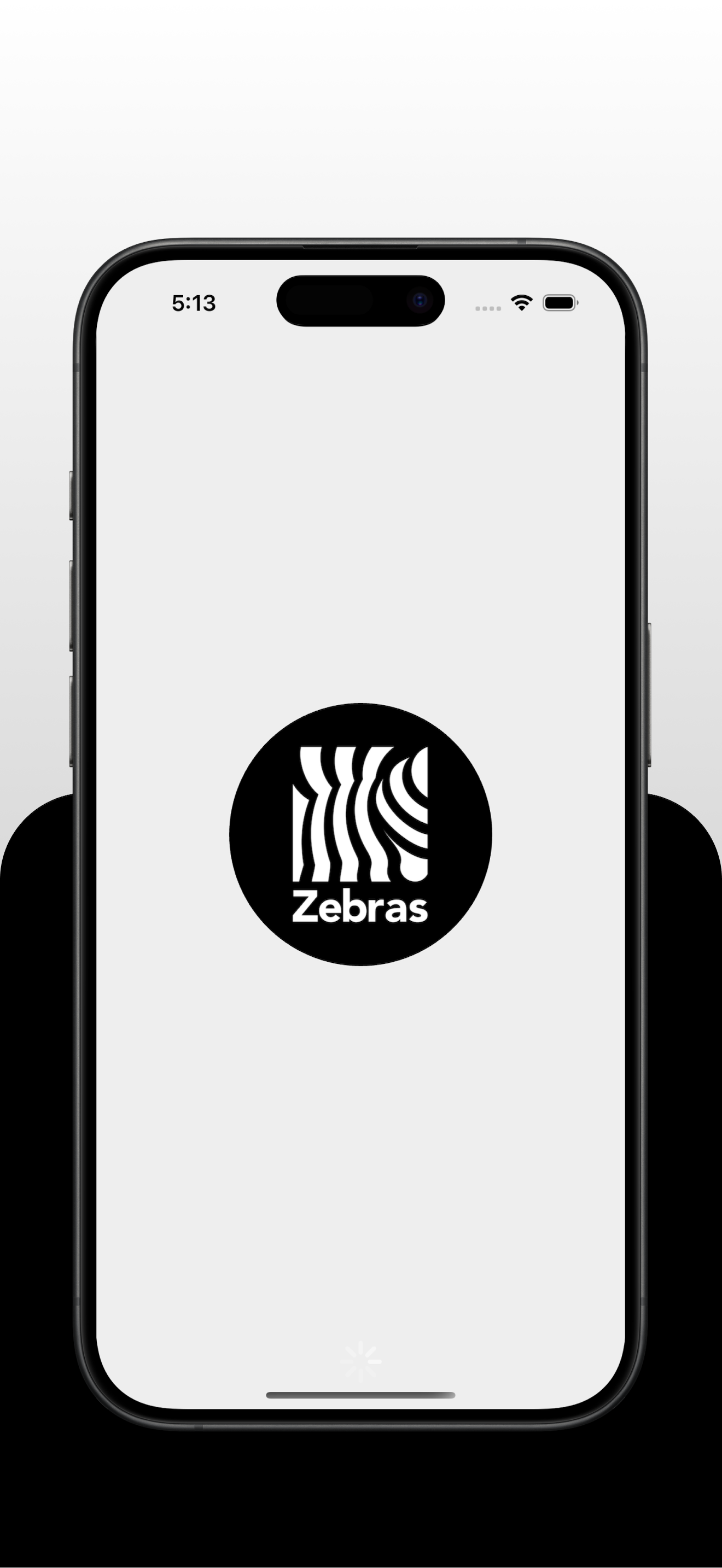 Zebras Groceries & Food