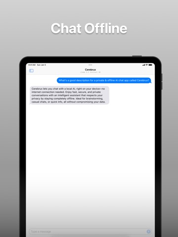 Cerebrux: Local AI Chat iPad screenshot