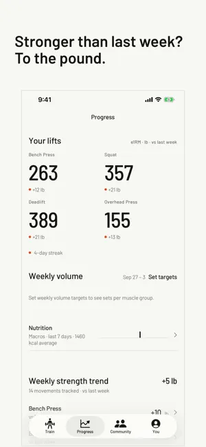 Tolma screenshot 3