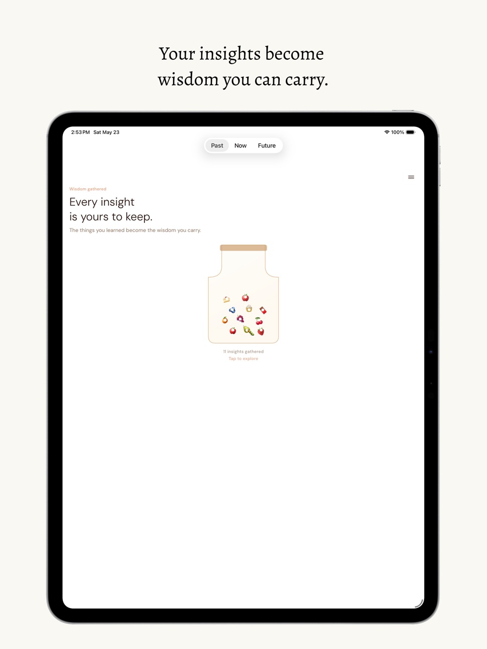 iPad screenshot