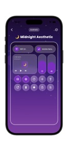 Control Widget: Theme & Panels screenshot