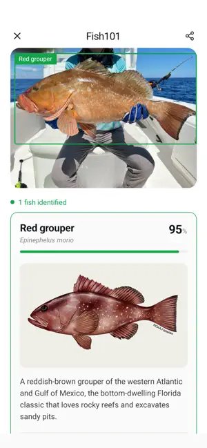 Fish Identifier - Fish101 screenshot 2