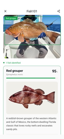 Fish Identifier - Fish101 Screenshot 2 of 6