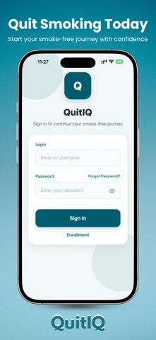 QuitIQ screenshot