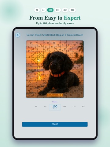 Jigsaw Puzzles by PuzzleFree iPad screenshot