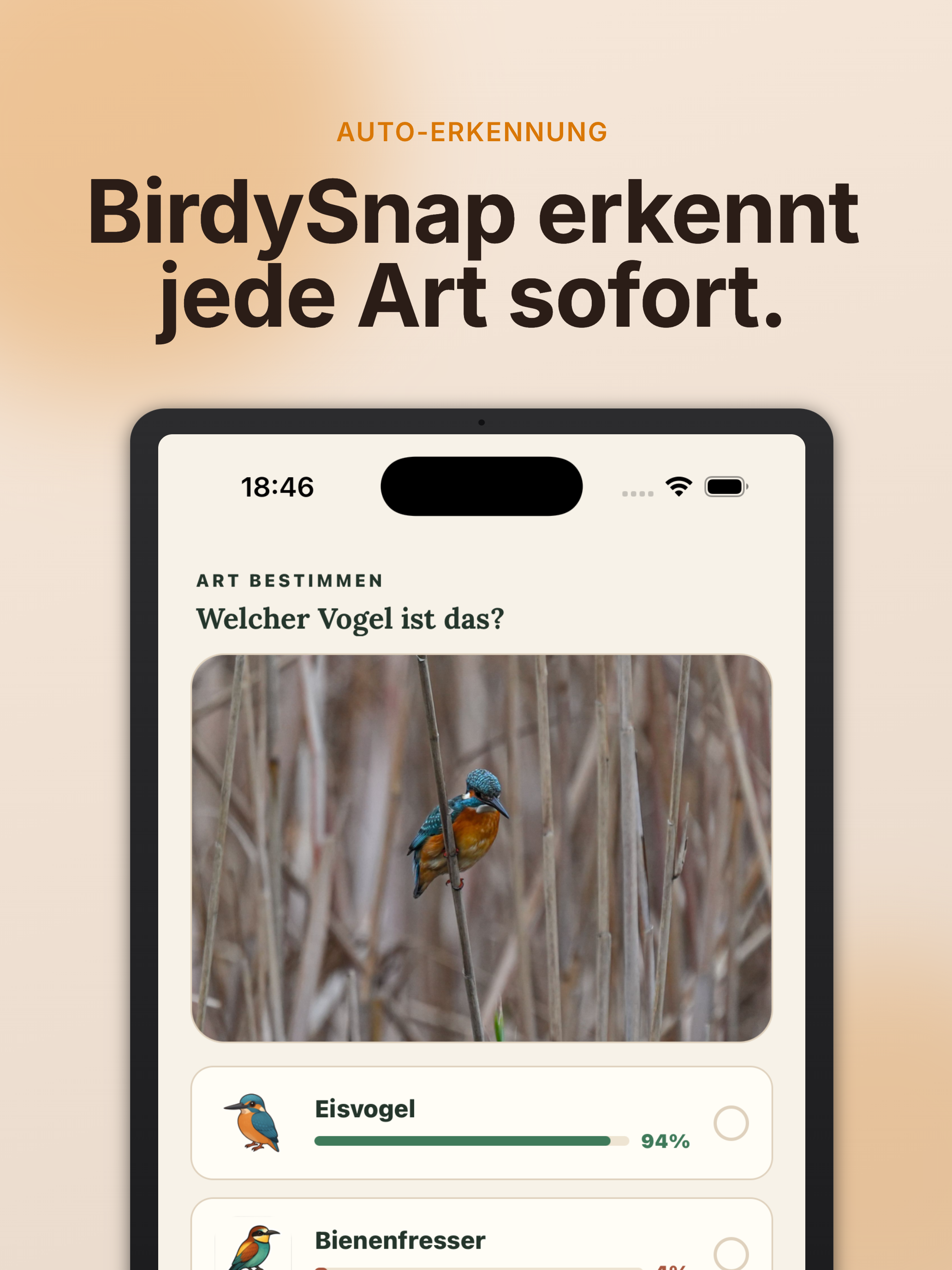 BirdySnap screenshot 9