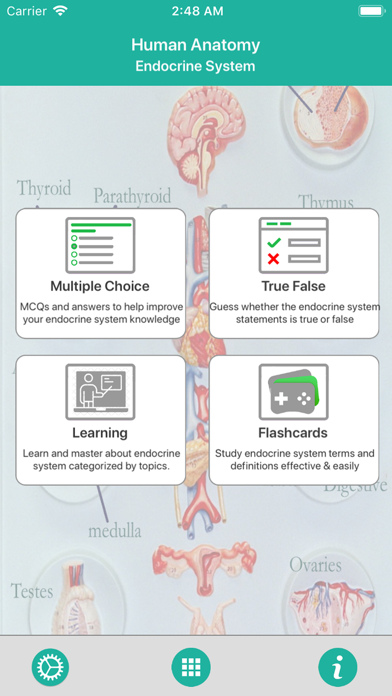 Anatomy : Endocrine System Screenshot