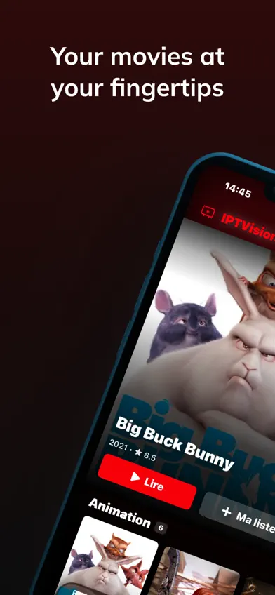 IPTVision Player screenshot 1