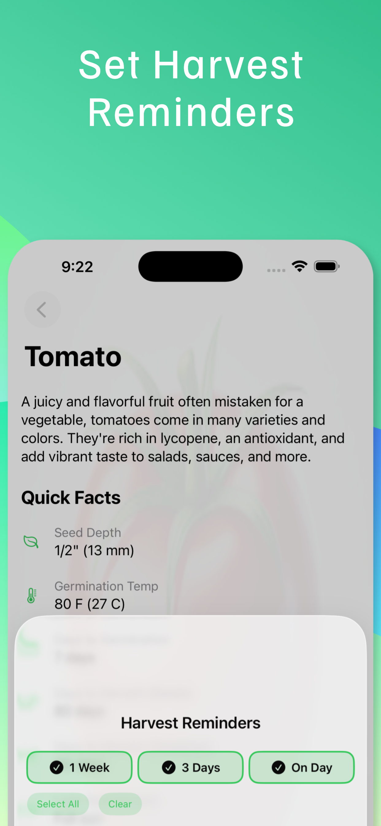 My Veggie Garden screenshot 7