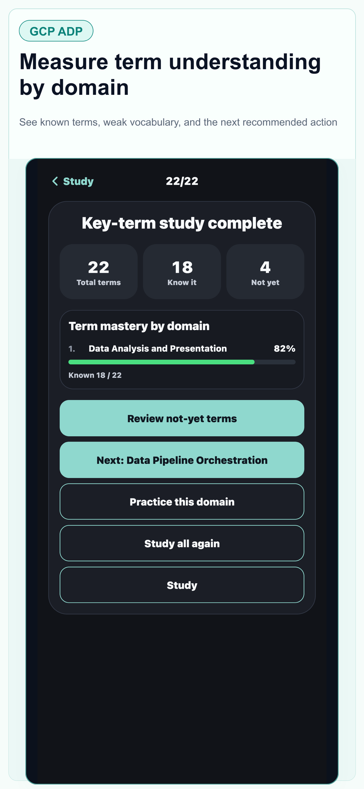GCP ADP Data Practitioner Prep screenshot 3