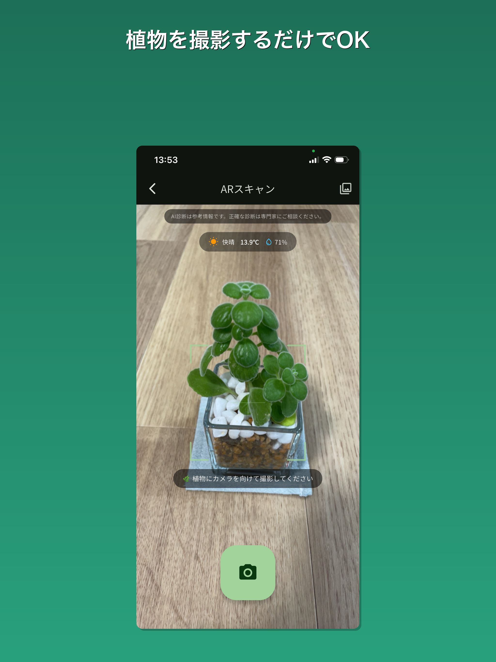 LeafLens