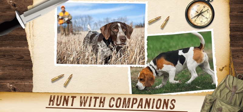 Deer Hunter 2026 Hunting Games screenshot 4