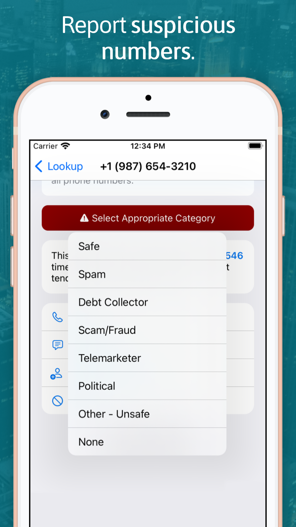 Reverse Lookup screenshot 3