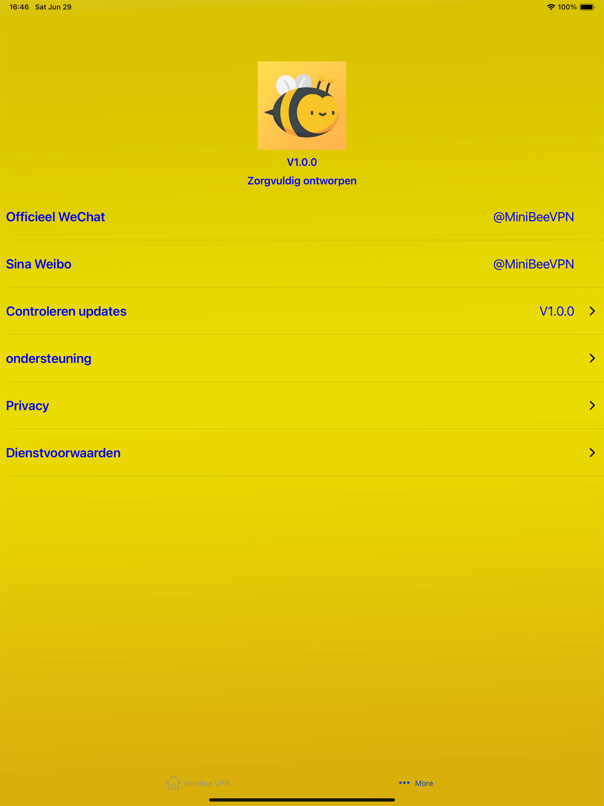 MiniBee VPN