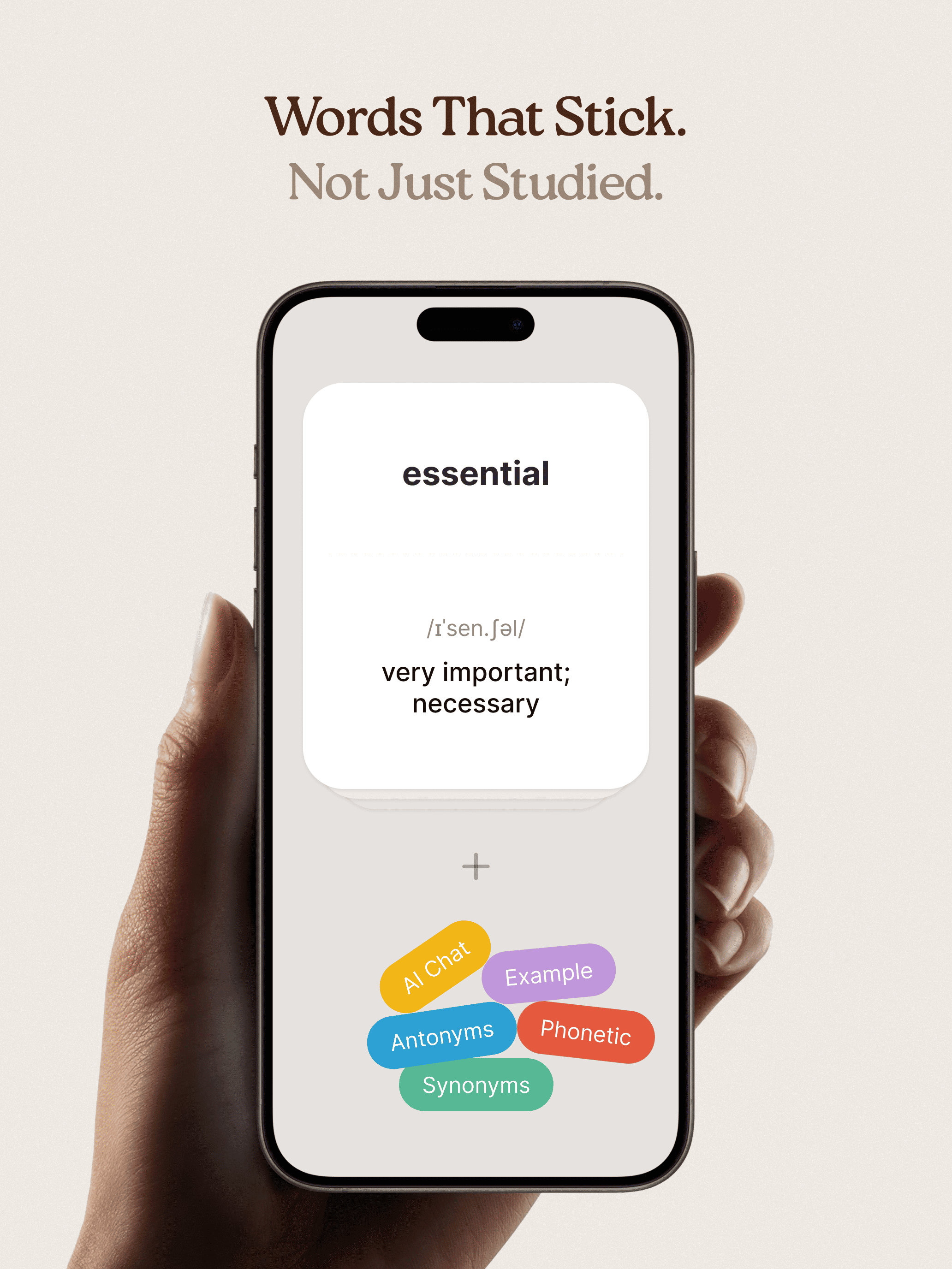 Toly: English Flashcards