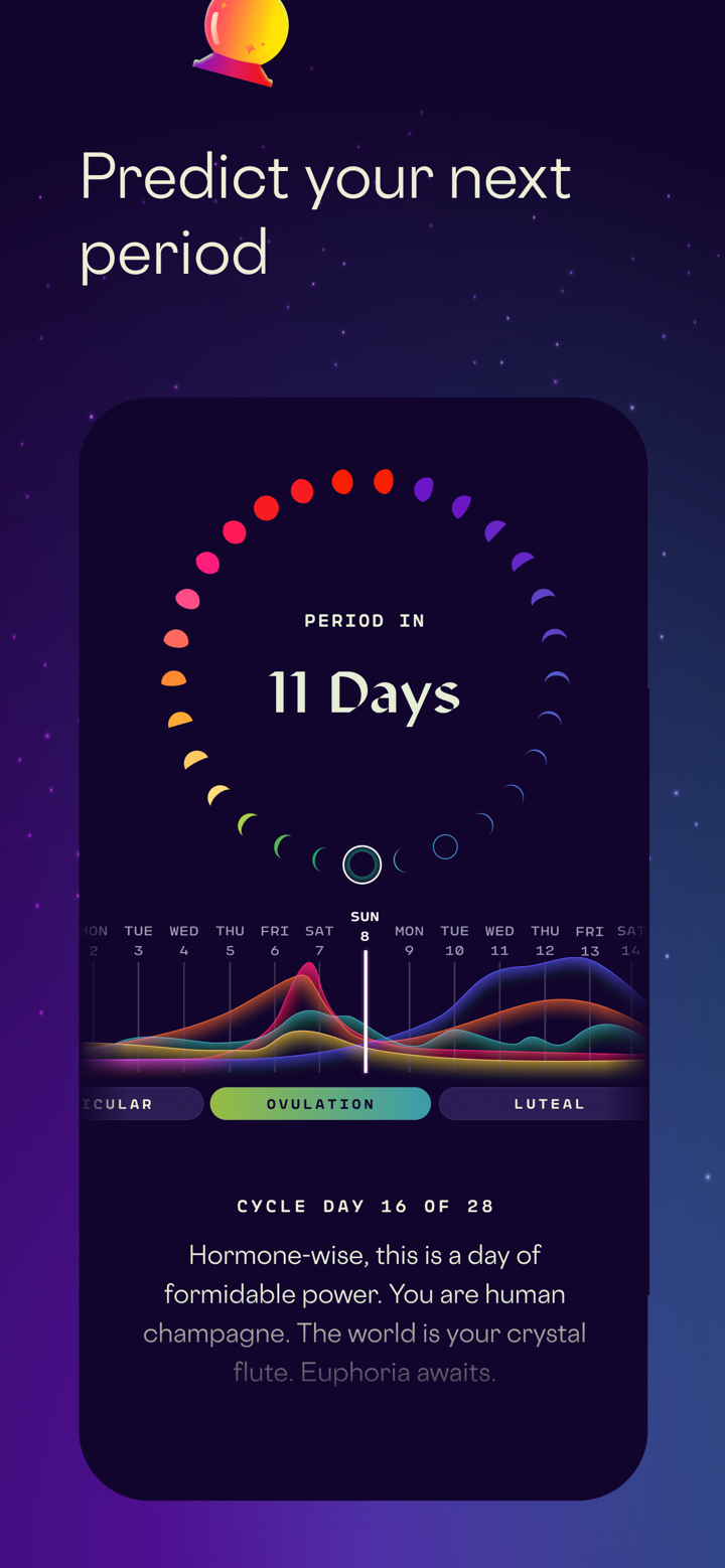Stardust Period Tracker screenshot 2