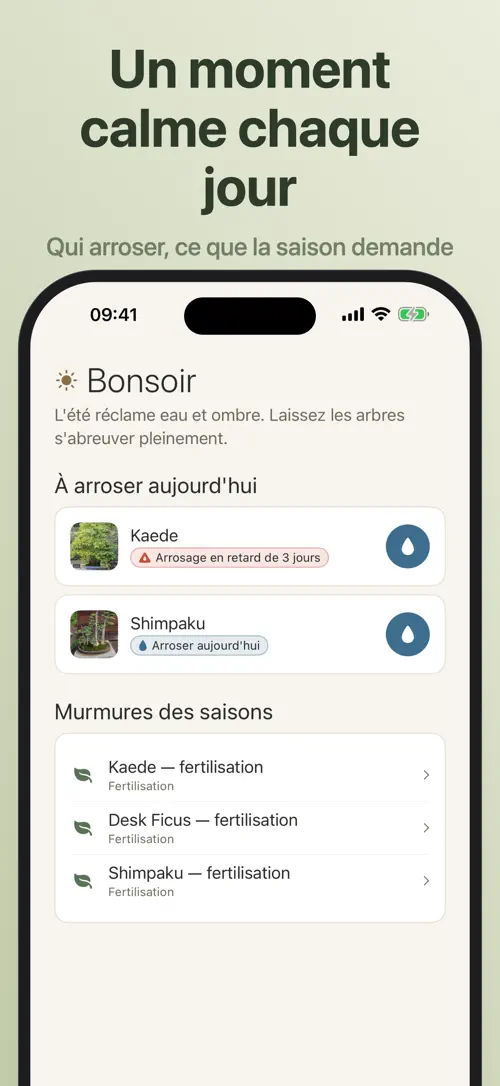 Bonsaiku sur iPhone : capture d’écran 4 sur 7